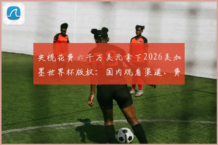 央视花费六千万美元拿下2026美加墨世界杯版权：国内观看渠道、费用明细及赛事覆盖全解析