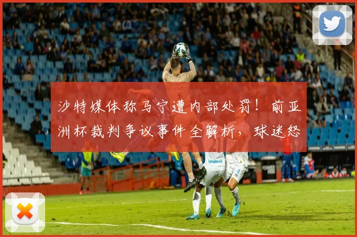 沙特媒体称马宁遭内部处罚!前亚洲杯裁判争议事件全解析,球迷怒批处理滞后